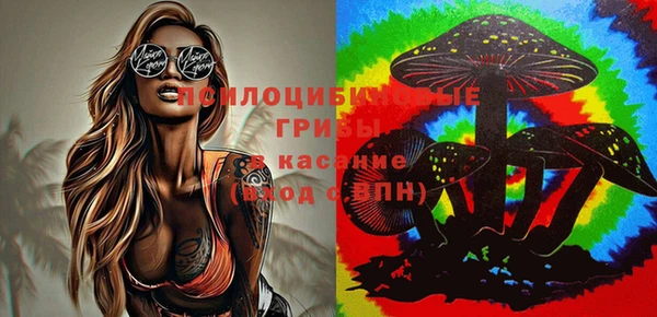 прущая мука Аркадак