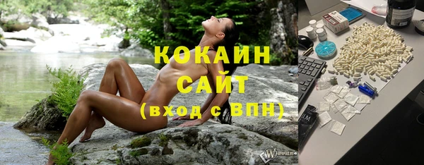 кокс Арсеньев